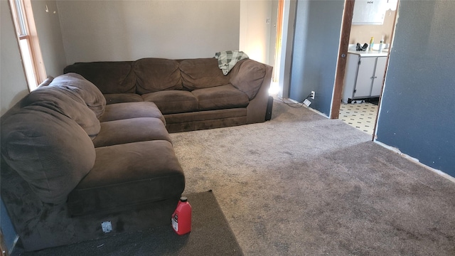 living room featuring carpet floors and washer / clothes dryer