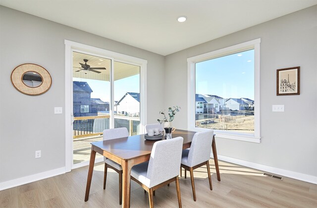 dining room featuring light hardwood / wood-style floors and a wealth of natural light