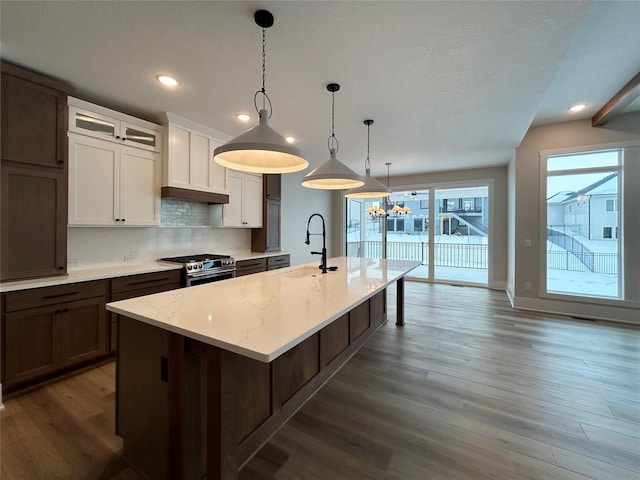 kitchen featuring tasteful backsplash, stainless steel range, wood finished floors, a large island with sink, and a sink