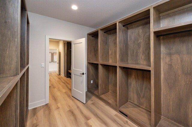 walk in closet with light wood finished floors