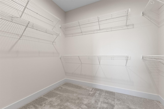 spacious closet with carpet flooring