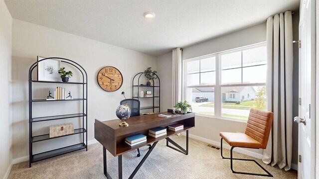 1303 NE 55th St, Ankeny, IA 50021 - office area featuring light colored carpet and baseboards