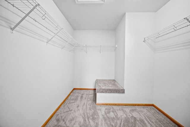 walk in closet featuring carpet floors