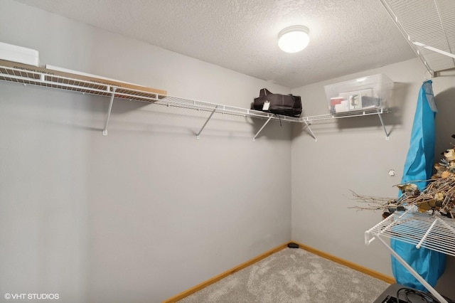 walk in closet with carpet