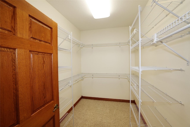 spacious closet featuring light carpet