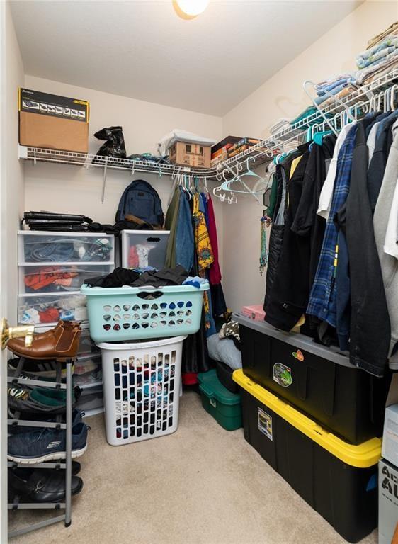 walk in closet featuring carpet floors