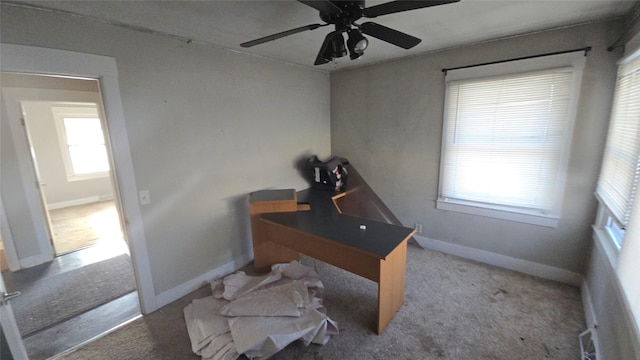 carpeted home office with ceiling fan