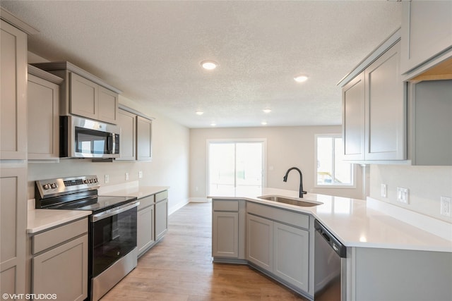 kitchen featuring gray cabinetry, stainless steel appliances, and a sink