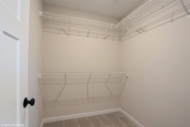 spacious closet featuring carpet