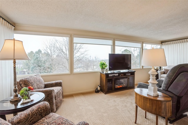 living room with a textured ceiling and light carpet