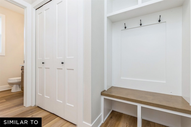 mudroom featuring light wood-type flooring