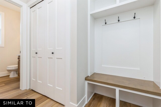 mudroom featuring light hardwood / wood-style flooring