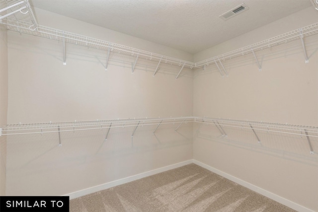 walk in closet featuring carpet flooring