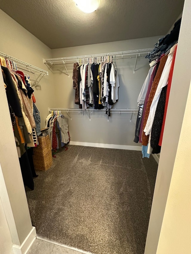 spacious closet featuring carpet flooring