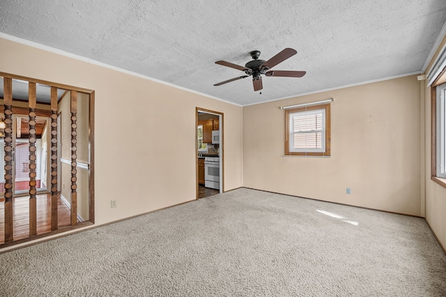 carpeted empty room featuring a textured ceiling, ceiling fan, and ornamental molding