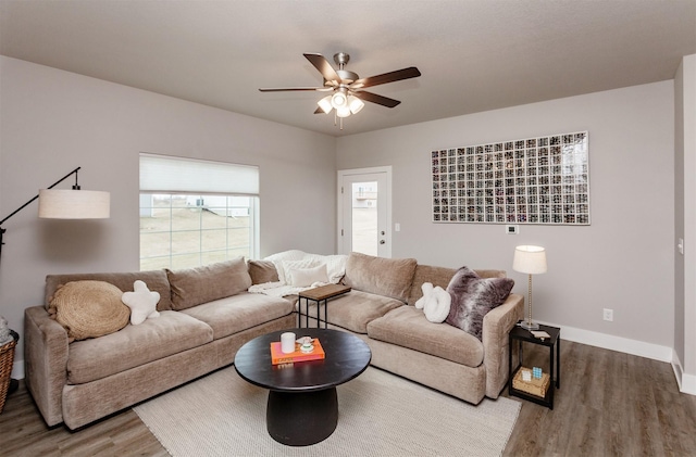 living room featuring ceiling fan and hardwood / wood-style floors