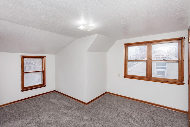 additional living space featuring vaulted ceiling, a textured ceiling, and carpet floors