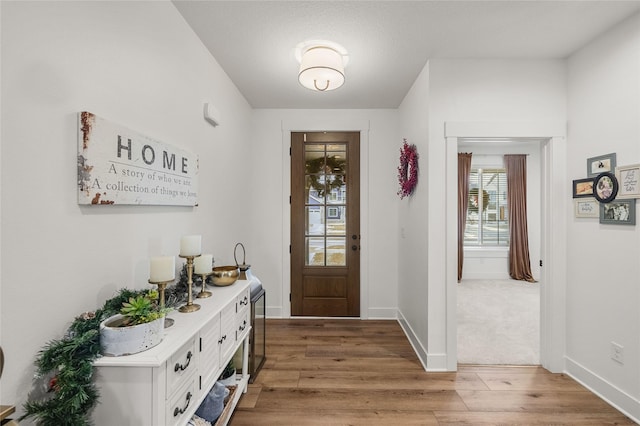 foyer with wood-type flooring