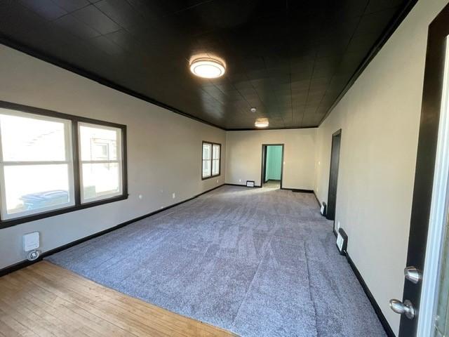 spare room featuring crown molding and carpet