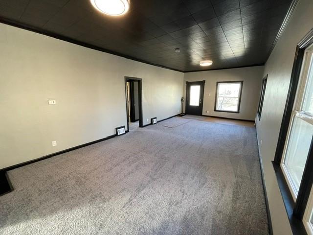 carpeted spare room featuring crown molding