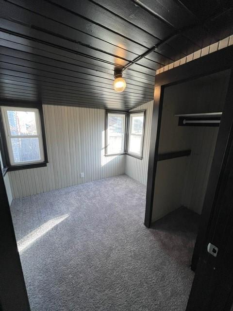 carpeted spare room featuring wooden walls