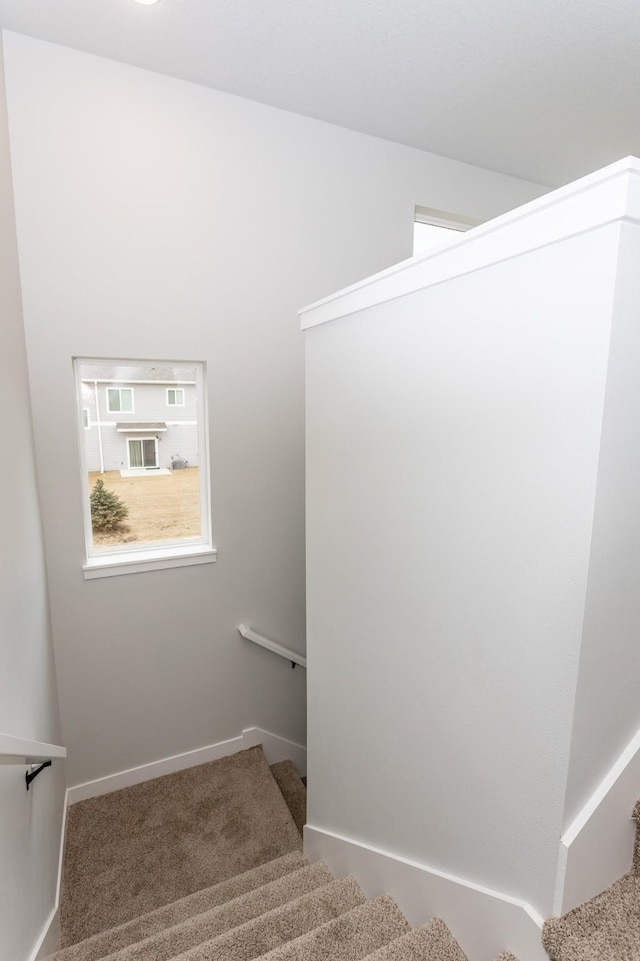 staircase featuring carpet floors and baseboards