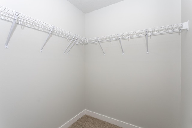 walk in closet with carpet flooring