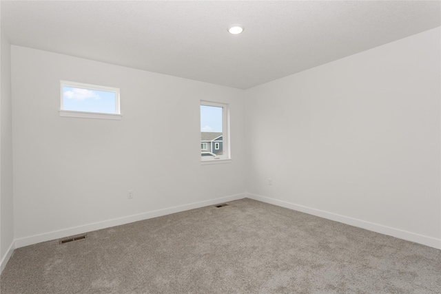 209 NW Waverly Dr, Waukee, IA 50263 - photo 25