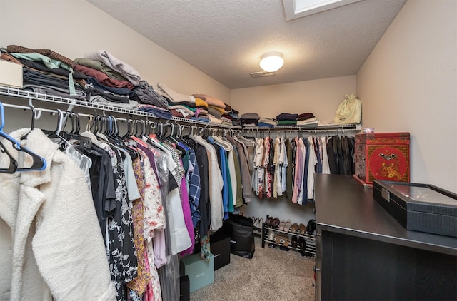 spacious closet with carpet floors