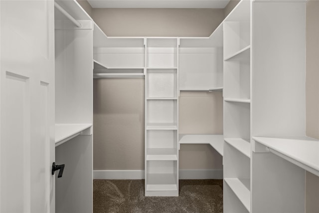 spacious closet with dark carpet