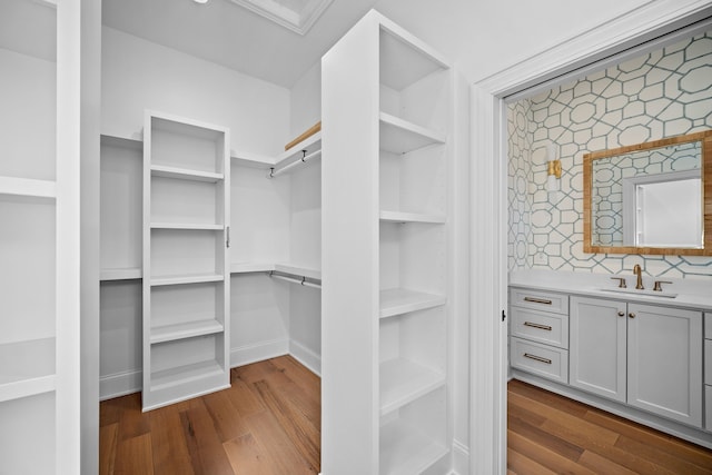 walk in closet featuring hardwood / wood-style flooring and sink