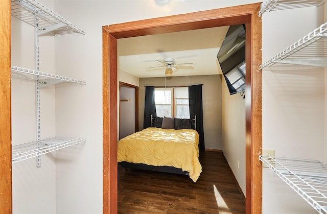 bedroom featuring wood-type flooring and ceiling fan