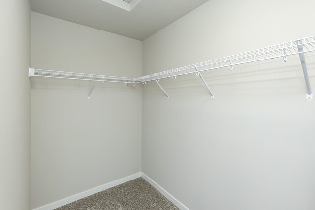 walk in closet featuring carpet