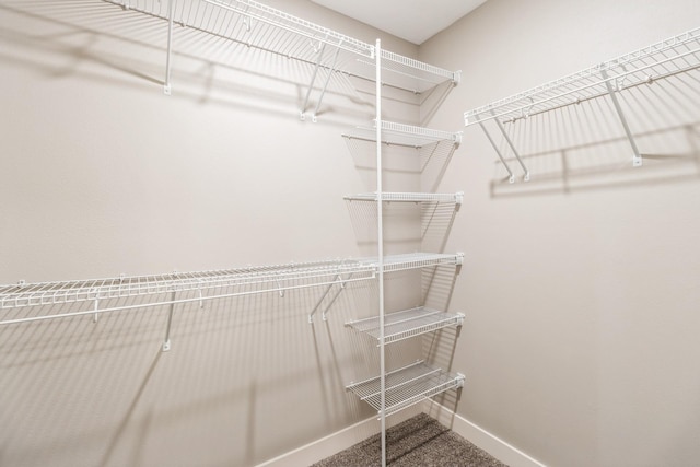 spacious closet featuring carpet floors