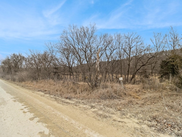 Listing photo 2 for 0 Carver Rd, Winterset IA 50273