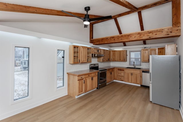 kitchen featuring sink, backsplash, ceiling fan, stainless steel appliances, and light wood-type flooring