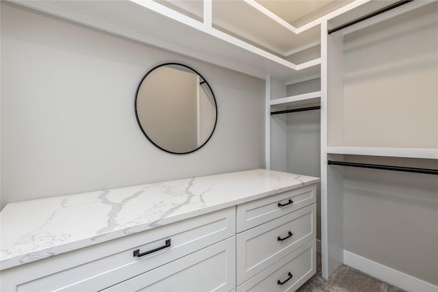 spacious closet featuring light colored carpet