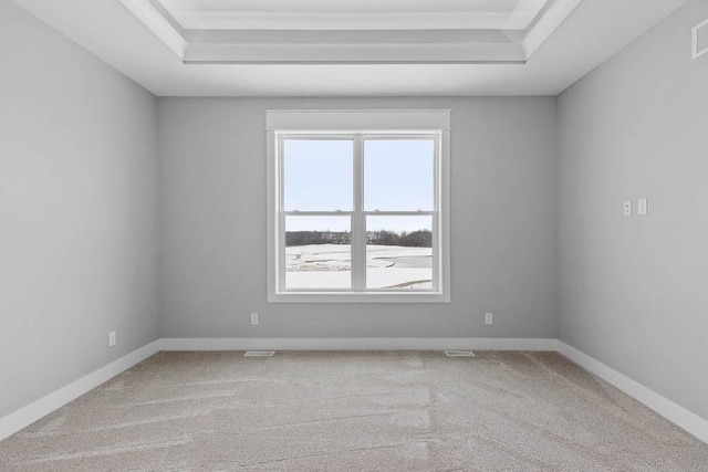 unfurnished room with a raised ceiling and light carpet