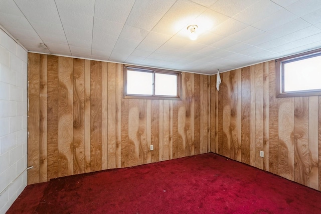 basement featuring carpet floors and wood walls