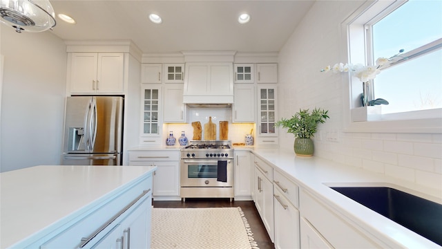 kitchen featuring premium range hood, stainless steel appliances, decorative backsplash, and white cabinets