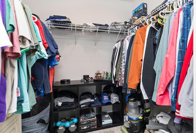 spacious closet featuring carpet flooring