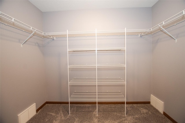 spacious closet featuring carpet floors