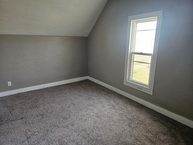 bonus room featuring carpet floors and vaulted ceiling