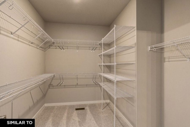 spacious closet with carpet