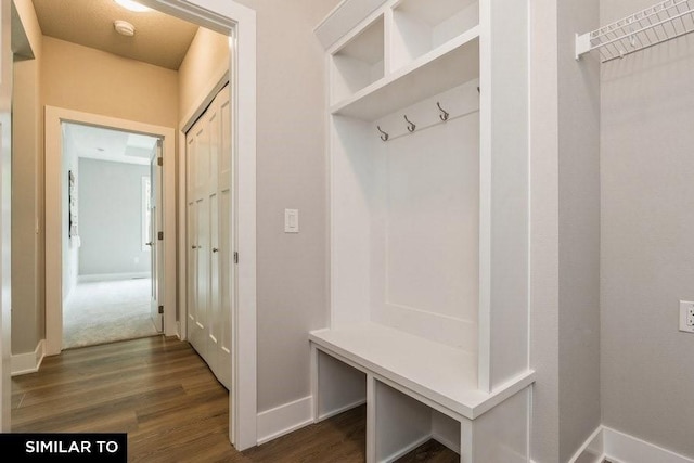 mudroom featuring dark hardwood / wood-style flooring