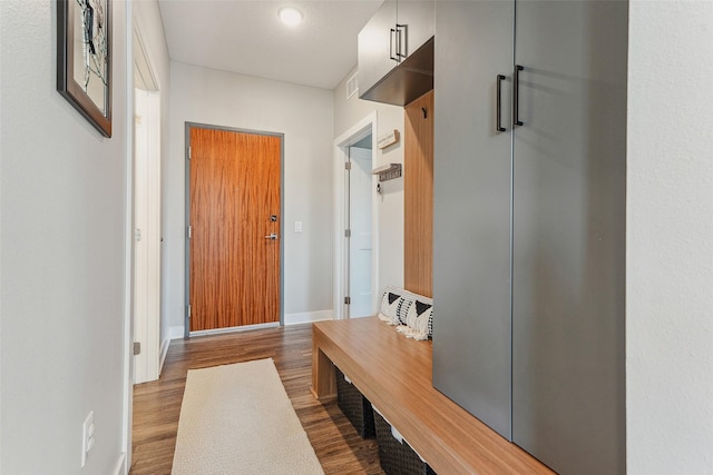 mudroom featuring dark hardwood / wood-style flooring