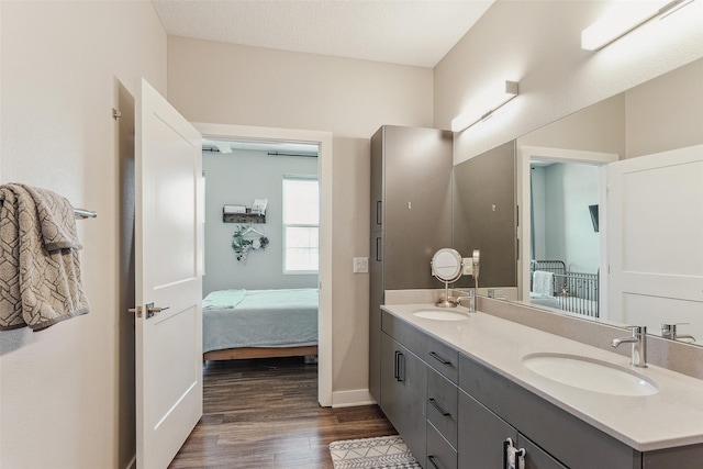 bathroom with hardwood / wood-style flooring and vanity