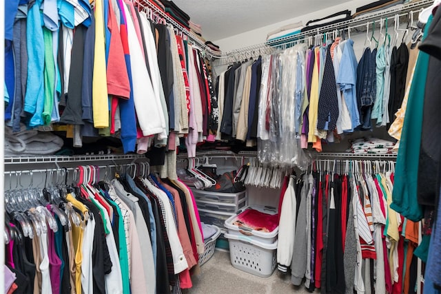 view of spacious closet