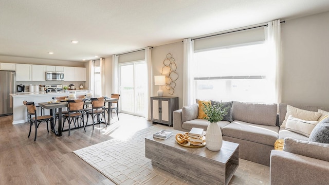 living room with light hardwood / wood-style flooring