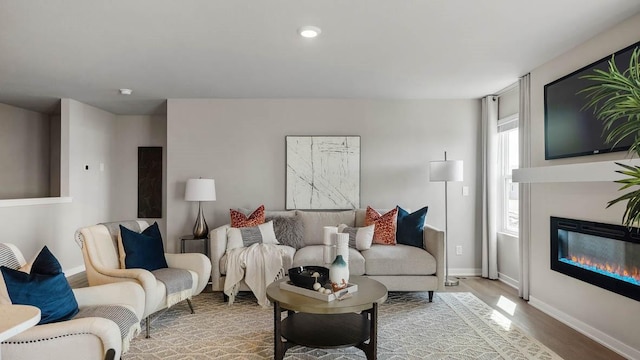 living room with hardwood / wood-style floors